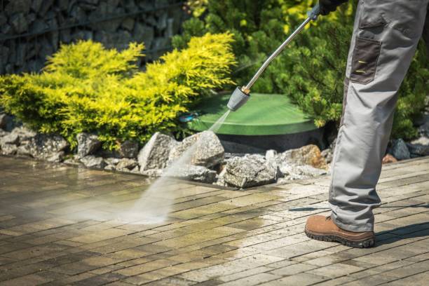 Best Sidewalk and Walkway Cleaning  in Simi Valley, CA